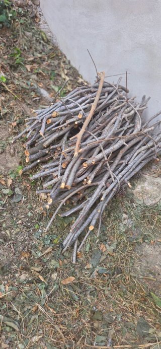 Regalo tronquitos Leña para barbacoa y chimenea