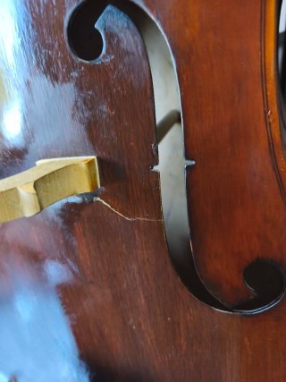 Contrabajo Nova Beginner 3/4 + funda + soporte