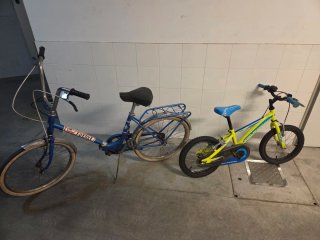 Bicicletas BH (niño y adulto)