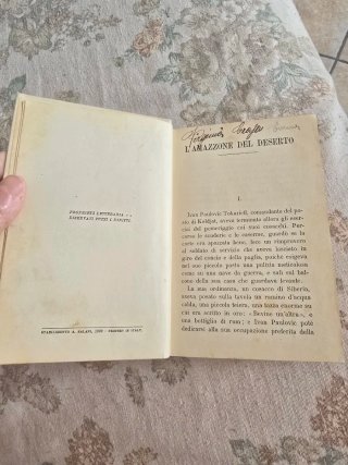 L'amazzone del deserto