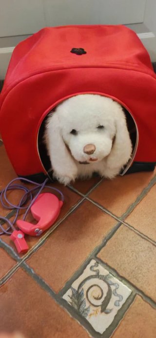 Perro interactivo Fur Real Friends