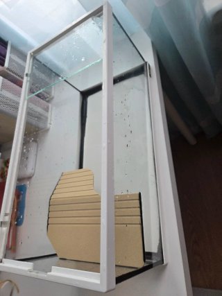 Acuario para tortugas