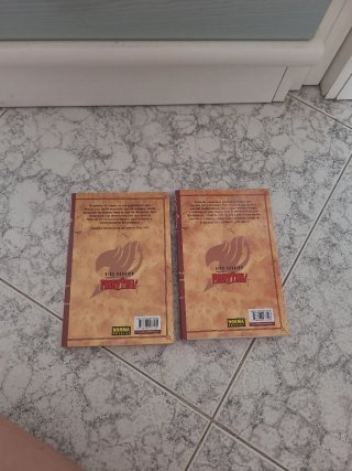 FAIRY TAIL 01