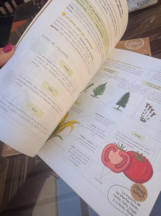 Conocimiento del Medio, 4 Primaria, Extremadura...