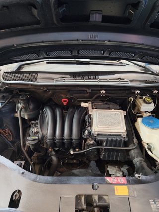 Mercedes-Benz Clase B 2008