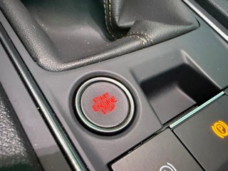 CUPRA FORMENTOR 2.0 TDI 150CV 6 VEL