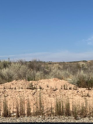 TERRENO PARA HUERTA EN ALQUILER