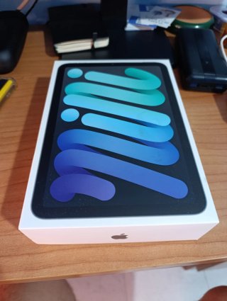 iPad mini 6 gris espacial