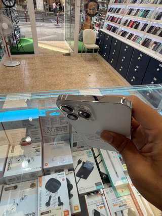 iPhone 13 Pro Max 256GB Argento Semi Nuovo