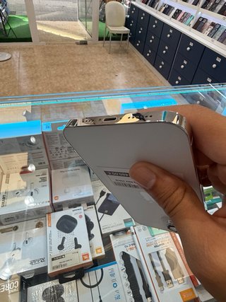 iPhone 13 Pro Max 256GB Argento Semi Nuovo