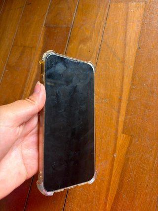 iPhone 13 Pro Max Argento