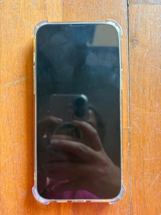 iPhone 13 Pro Max Argento