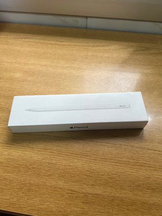 Apple Pencil 2ª Gen NO CARGA