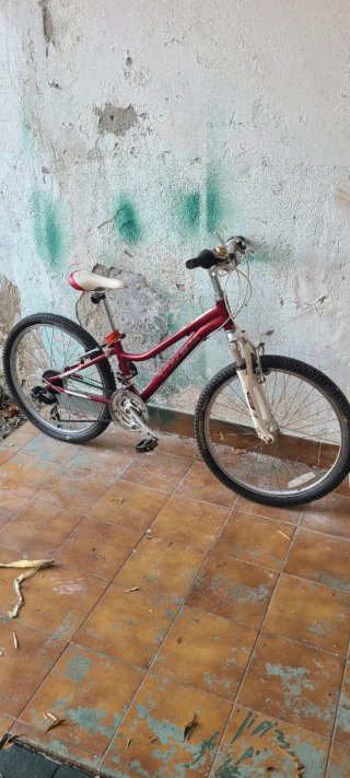 Bicicleta Trek Roja