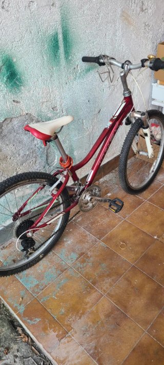 Bicicleta Trek Roja