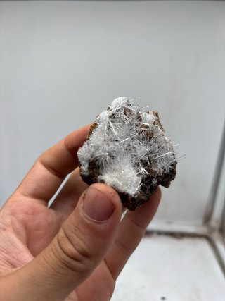 Gesso acicolari minerali