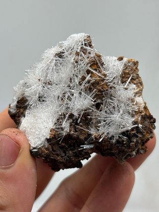 Gesso acicolari minerali