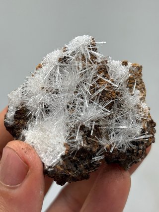 Gesso acicolari minerali