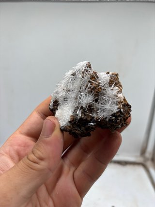 Gesso acicolari minerali