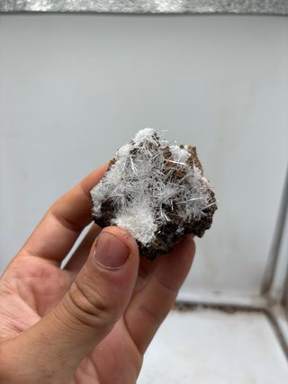 Gesso acicolari minerali
