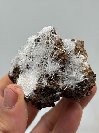 Gesso acicolari minerali