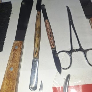 Articulador Mestra y kit prótesis dental