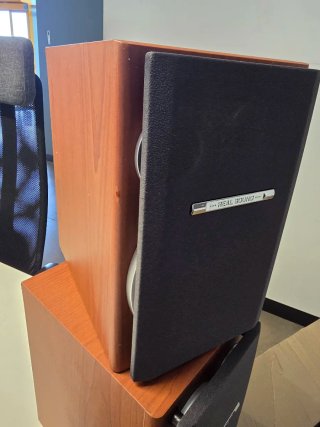 Pareja Altavoces LG LXS-M340 Real Sound