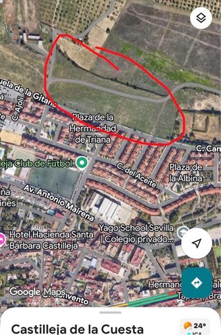 Alquiler terreno Castilleja de la Cuesta 35.000m2