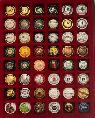 Álbum Placas de Cava Coleccionismo (288)