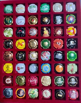 Álbum Placas de Cava Coleccionismo (288)