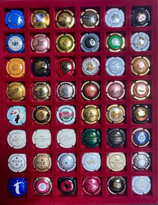 Álbum Placas de Cava Coleccionismo (288)