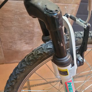 Bicicleta Neon A-Force Pro 20