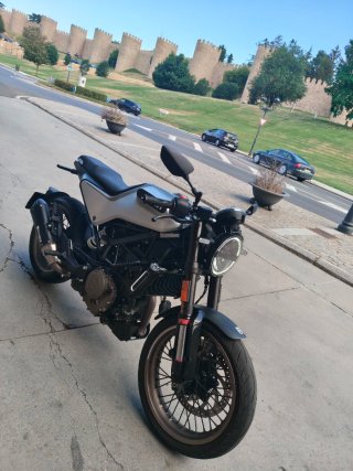 Husqvarna Vitpilen 401 Gris/Blanco
