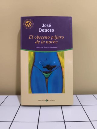 El obsceno pájaro de la noche