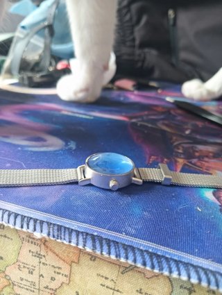 Reloj Disneyland Paris Azul/Plata