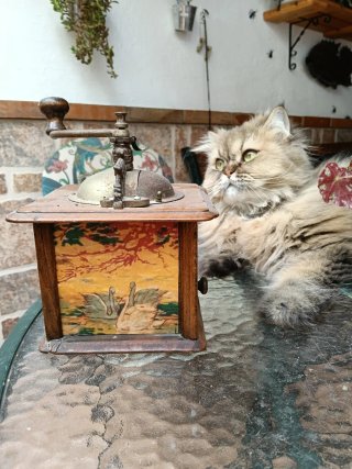 Molinillo de café antiguo madera y metal