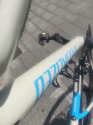 Specialized Diverge Sport Carbon Gravel Bike