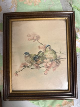 Conjunto de 5 cuadros decorativos