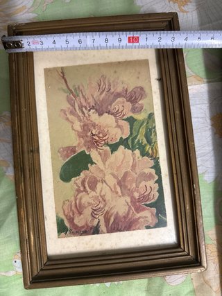 Conjunto de 5 cuadros decorativos
