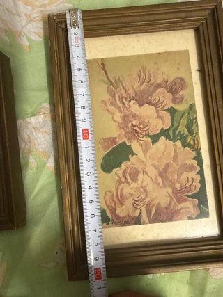 Conjunto de 5 cuadros decorativos