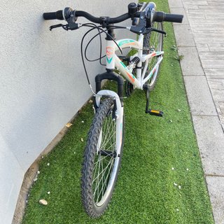 Bicicleta Neon 24