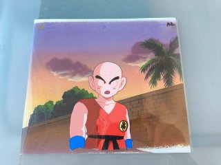 Cel de Anime Krilin Dragon Ball