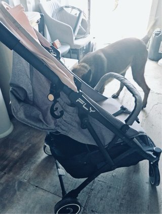 Silla de paseo Fly