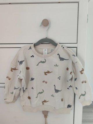 Lote 2 sudaderas dinosaurios T. 2-3 años HyM