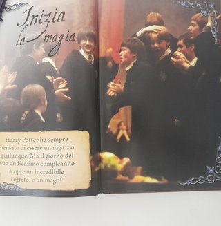 Harry Potter Guida Ai Film - Prima Edizione 2016
