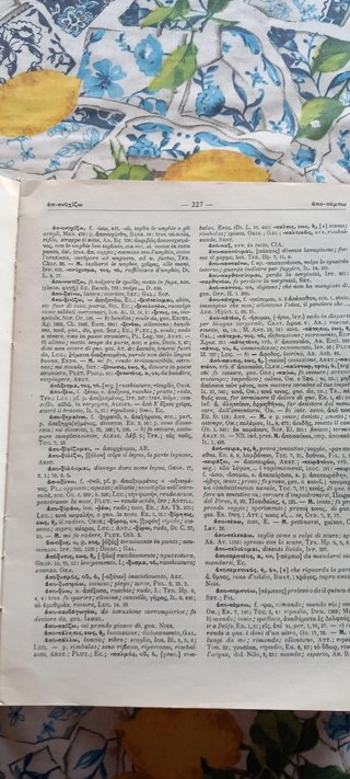 Dizionario di greco "Il Rocci" (27ª edizione)
