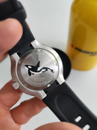 Citizen Promaster Orca Eco-Drive Diver 200m