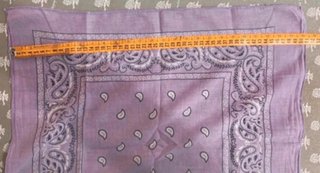 Foulard/Bandana Viola Paisley