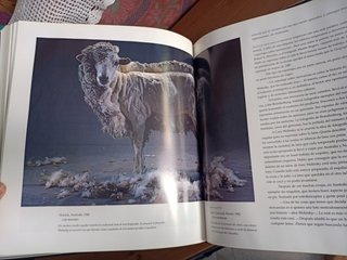 LIBRO MEJORES FOTOGRAFIAS DE NATIONAL GEOGRAPHIC