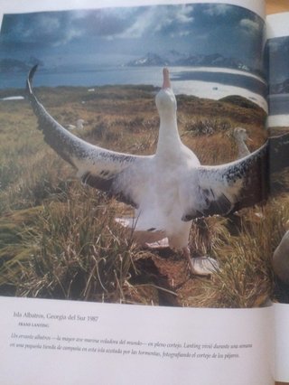 LIBRO MEJORES FOTOGRAFIAS DE NATIONAL GEOGRAPHIC